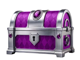 chest